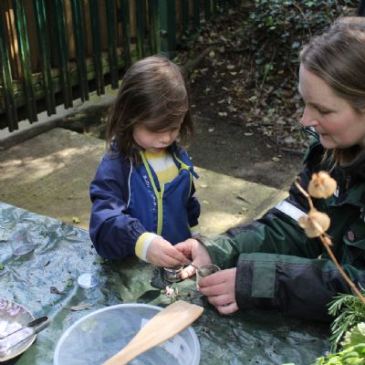 Stay 'n' Play Forest School